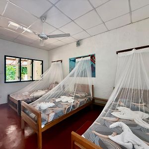 4-Bed Mixed Dormitory Room